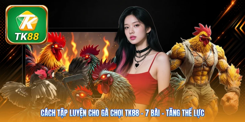 Cách Tập Luyện Cho Gà Chọi Tk88 | 7 Bài - Tăng Thể Lực