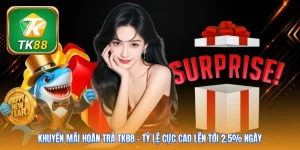 Khuyến Mãi Hoàn Trả TK88 | Tỷ Lệ Cực Cao Lên Tới 2.5% Ngày