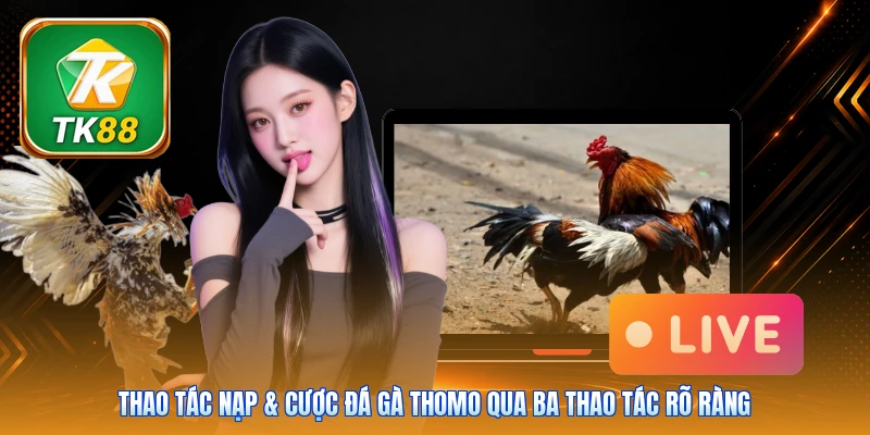 Nạp & cược đá gà Thomo Tk88 | 3 bước - Xử lý siêu nhanh Thao tác nạp & cược đá gà Thomo qua ba thao tác rõ ràng