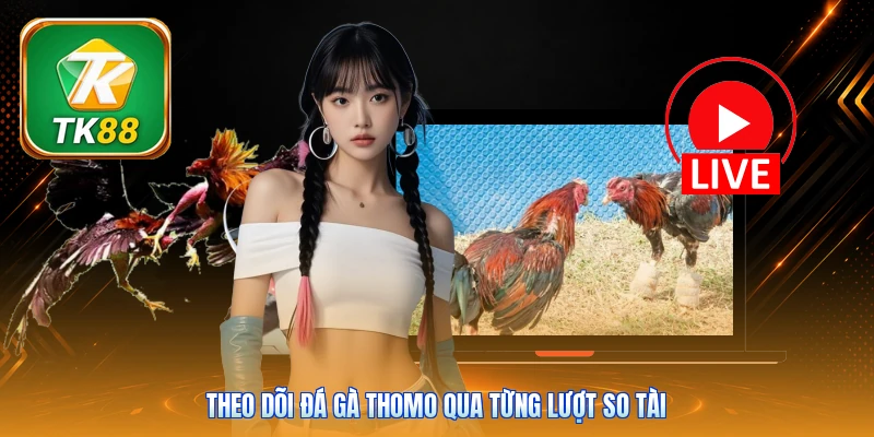 Đá Gà Thomo Tk88 | Trực Tiếp 16 Trận - Hình Ảnh HD Theo dõi đá gà Thomo qua từng lượt so tài