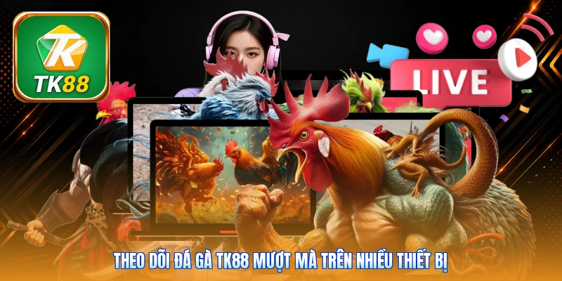 Theo dõi đá gà Tk88 mượt mà trên nhiều thiết bị