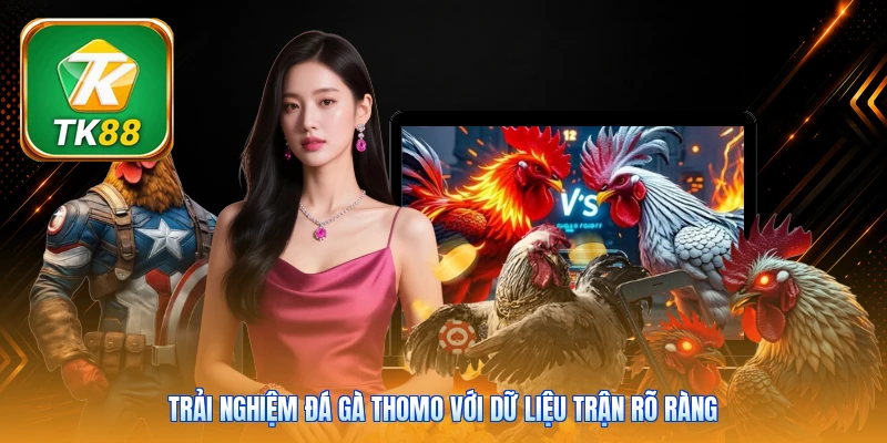 Đá Gà Thomo Tk88 | Trực Tiếp 16 Trận - Hình Ảnh HD Trải nghiệm đá gà Thomo với dữ liệu trận rõ ràng