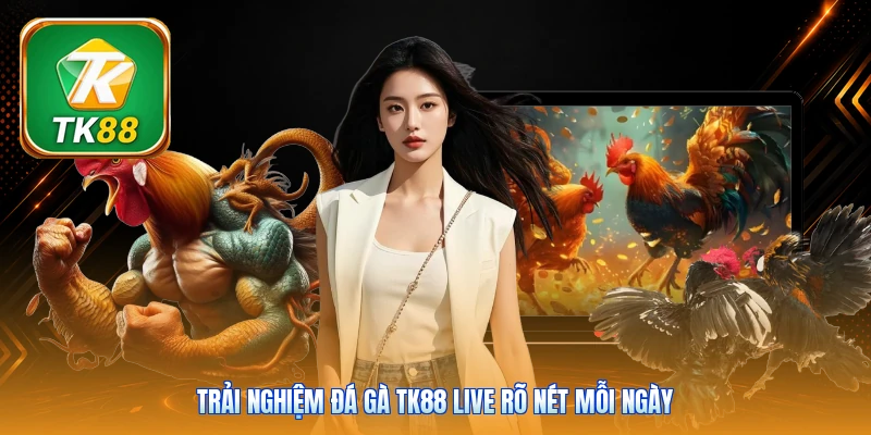 Trải nghiệm đá gà Tk88 live rõ nét mỗi ngày